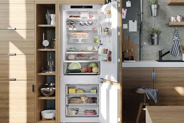 NEFF Fridge Freezer